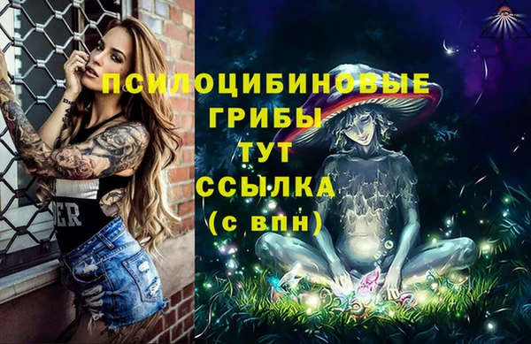 гашик Волоколамск