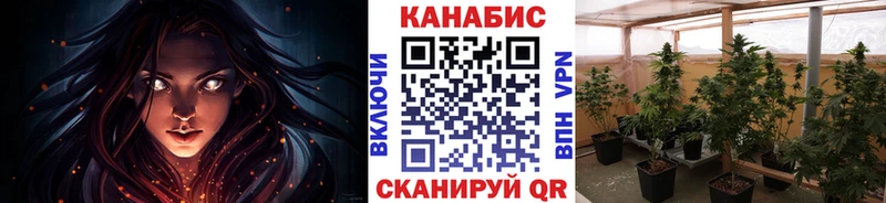 Каннабис марихуана  omg ССЫЛКА  площадка телеграм  где продают   Сосновка 